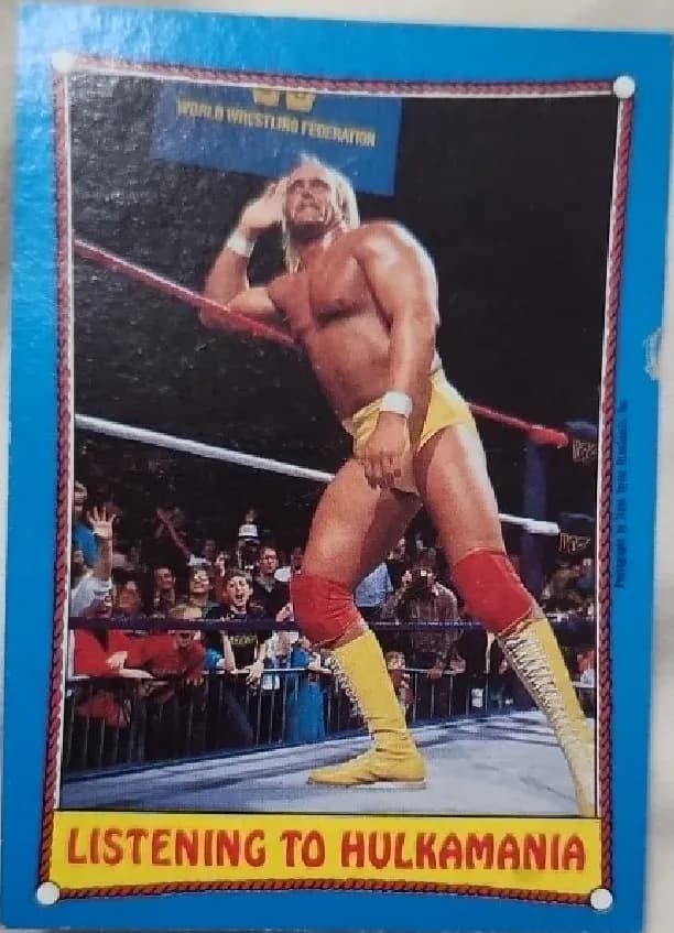 Hulk Hogan #38