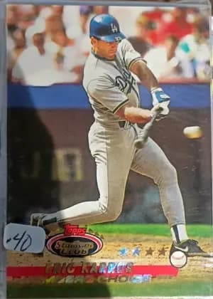 Eric Karros