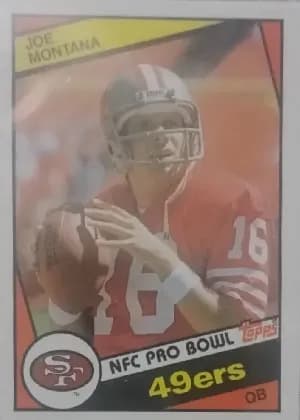 Joe Montana #358
