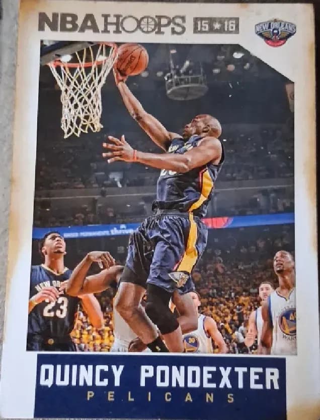 Quincy Pondexter #8