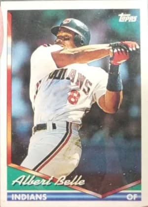 Albert Belle #480