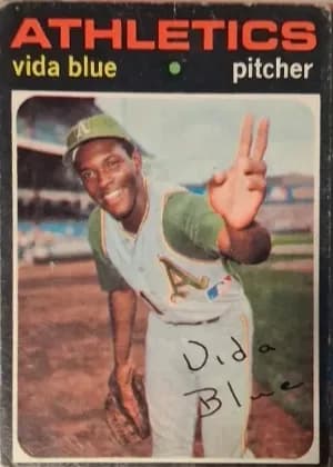 Vida Blue