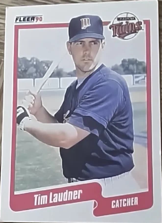 Tim Laudner #380
