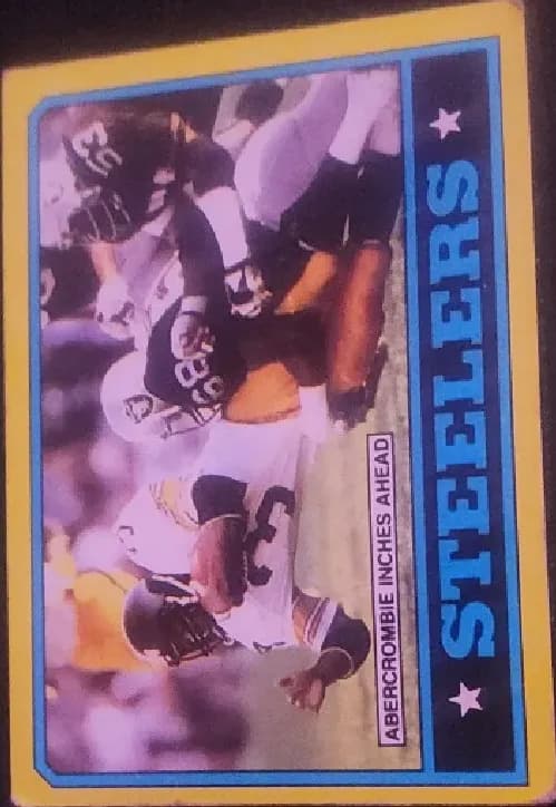 Steelers Team [Walter Abercrombie] #280