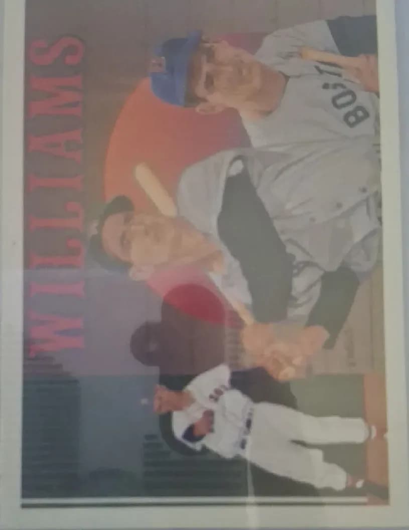 Ted Williams #36