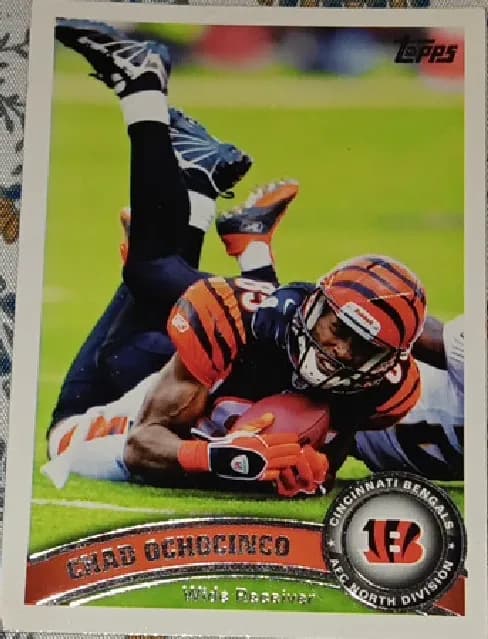 Chad Ochocinco #319
